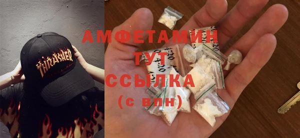 мдпв Михайлов