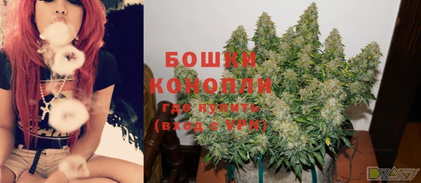 гидропоника Мегион