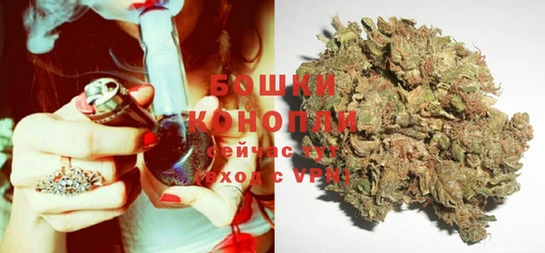 мдпв Михайлов