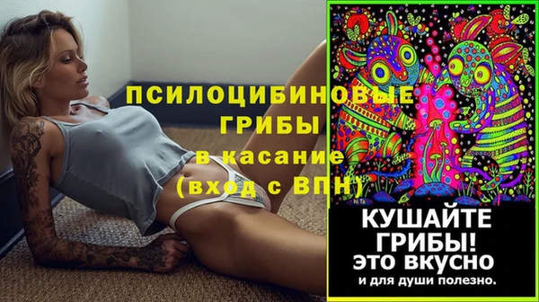 молекула духа Михайловск