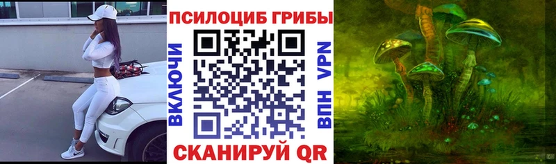 где продают   Нытва  Псилоцибиновые грибы мухоморы 