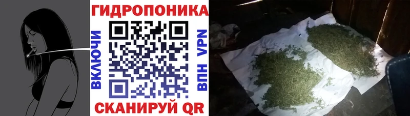 Конопля MAZAR  Нытва 